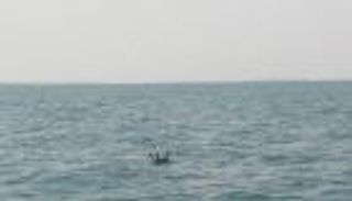 مقتل 3 صيادين مصريين إثر انفجار لغم حوثي بالبحر الأحمر