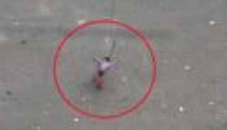 الانتهاكات باليمن خلال عام.. 3 آلاف واقعة والحوثي يتصدر 