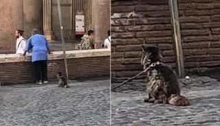 صورة سابقة للقطة فورتونيلا مع مالكها كلاوديو