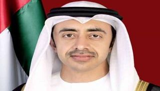 وزير الخارجية الإماراتي الشيخ عبدالله بن زايد آل نهيان- أرشيفية