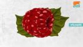 إنفوجراف.. "التوت الأحمر".. كنز من الفوائد الصحية