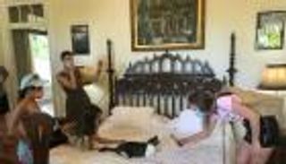 من أجل قططه لا قصصه.. الأمريكان يزورون منزل الفائز بنوبل