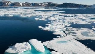 بحر بيرنج في شمال المحيط الهادئ