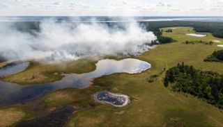 حرائق سيبيريا تسبب ضررا كبيرا للبيئة