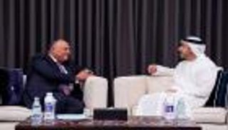 الإمارات ومصر تبحثان العلاقات الثنائية وأوضاع شرق المتوسط