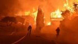 بالصور.. حفل للكشف عن نوع الجنين وراء كارثة في أمريكا