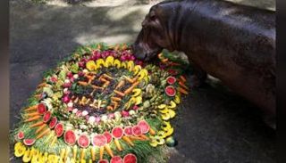 كعكة من الفاكهة والخضراوات 