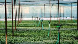 حقل زراعي في إيران - أرشيفية