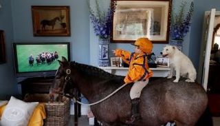 الحكة والحمى من أعراض متلازمة الالتهابات المتعددة 