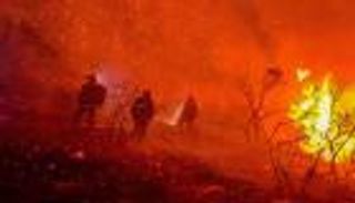 مليونا فدان حصيلة حرائق غابات كاليفورنيا