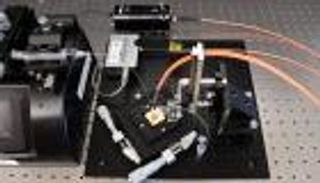 تطوير شريحة منخفضة التكلفة لاكتشاف الأجسام المضادة لكورونا