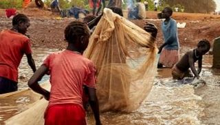 أطفال سوادنيون يصطادون السمك من مياه الفيضان
