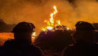 حرائق غابات كاليفورنيا