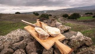 جبن كازو دي كابريتو الإيطالي