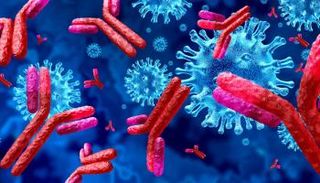 بحثان جديدان حول لقاح كورونا يبشران بنتائج إيجابية