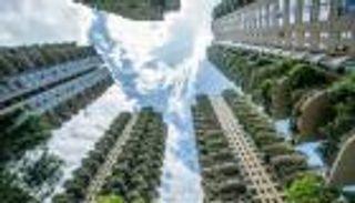 نباتات تحتل أبراجا سكنية في الصين.. وزائر "مزعج" يغزو المكان