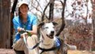 كلب ينقذ 100 كوالا من حرائق "الصيف الأسود" الأسترالية