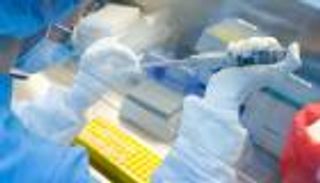 الإمارات: 654 حالة شفاء جديدة من فيروس كورونا