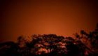 حرائق البرازيل تحول جنة للتنوع الحيوي إلى جحيم