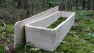 نعش صديق للبيئة.. مصنوع من الفطر ويحول الجثث لـ"سماد"