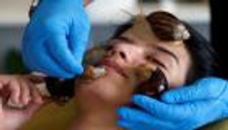 بالصور.. أردنيات يلجأن لـ"قواقع الحلزون" لبشرة أكثر شباباً