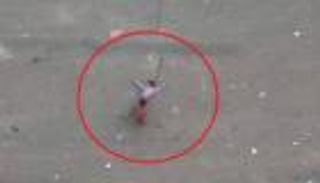 إرهاب قناصة الحوثي يلاحق جالبات الماء.. ضحية جديدة بتعز