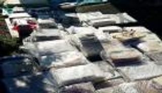 200 كتاب بـ3 ملايين دولار.. "الكنز المسروق" يظهر أخيرا