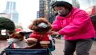 هل ينقل البشر عدوى كورونا إلى حيواناتهم الأليفة؟