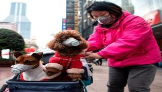 فيروس كورونا من الأمراض المعدية ذات المنشأ الحيواني