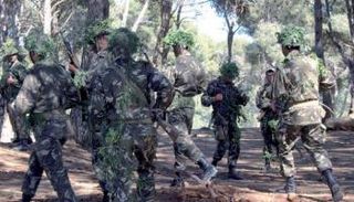 قوات الجيش الجزائري خلال عملية عسكرية ضد فلول الإرهاب - أرشيفية