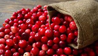 فاكهة الكرانبيري