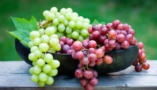 خبير روسي يتحدث عن مخاطر تناول العنب