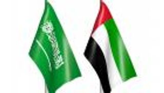 الإمارات والسعودية.. وحدة التاريخ والمصير