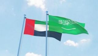 نمو استثنائي للتبادل التجاري بين السعودية والإمارات