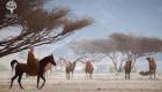 رحلة في قلب التاريخ السعودي.. احتفاء "مسك" باليوم الوطني للمملكة