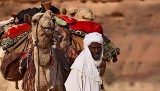 التبو أحد المكونات الاجتماعية الليبية - أرشيفية