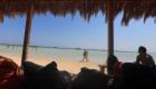 لأول مرة منذ 7 أشهر.. عودة السياح الفرنسيين إلى مصر