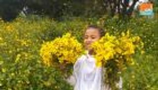 "أدي أببا".. زهرة تزين احتفالات الإثيوبيين بـ"عيد الصليب"