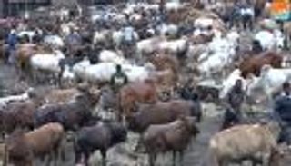 رغم كورونا.. إثيوبيا تتأهب لاحتفال "عيد الصليب" بمشاركة 5 آلاف مواطن