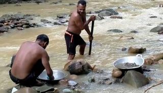 منقبان عن الذهب في نهر قرب كوروواي بمقاطعة بابوا الإندونيسية