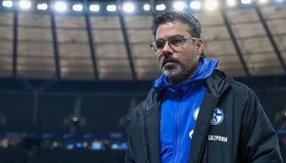 ديفيد فاجنر