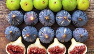 التين يتمتع بفوائد صحية جمّة