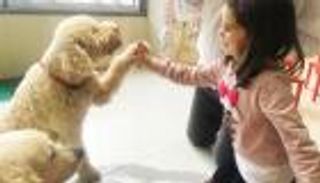 لكسر حاجز القلق من كورونا.. الكلاب تستقبل الطلاب الجدد في إيطاليا