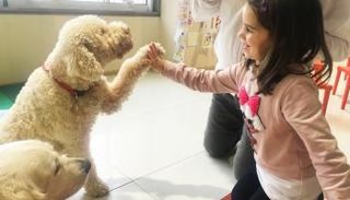 المبادرة تهدف إلى تقديم تجربة مختلفة في روتين المدرسة 