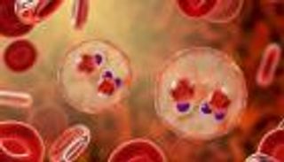 بعد كورونا.. الجزائر تسجل 1110 إصابات بالملاريا