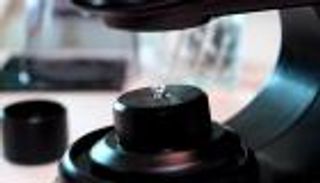 تجارة الألماس.. بريق يبحث عن الأثرياء