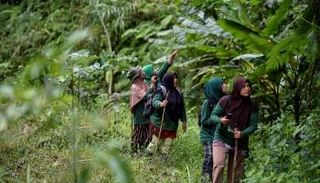 حارسات غابات في غابة بينير ميرياه بمقاطعة أتشيه الإندونيسية