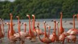 بحيرات "أبجاتا شالا" الإثيوبية.. سحر الطبيعة يتحدى الوادي المتصدع