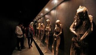  أكبر مجموعة مومياوات غير صناعية في العالم