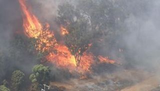 نحو 150 رجل إطفاء يحاولون إخماد الحريق